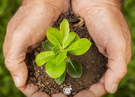 06-2025 PT BR - Dia Mundial do Meio Ambiente